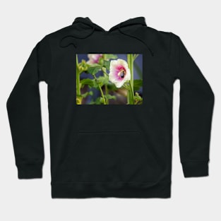 Hollyhocks Hoodie